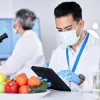 sertifikat haccp mbg